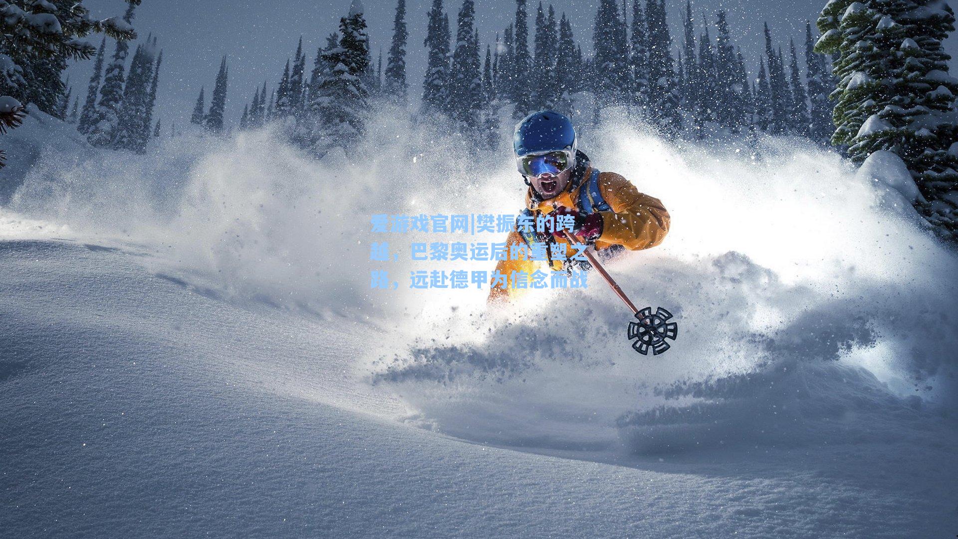 樊振东的跨越，巴黎奥运后的重塑之路，远赴德甲为信念而战