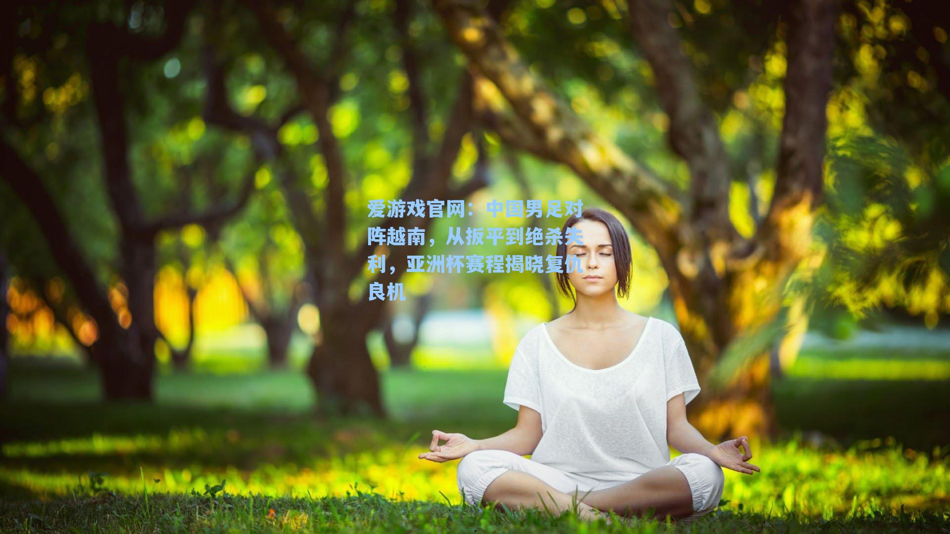 爱游戏官网：中国男足对阵越南，从扳平到绝杀失利，亚洲杯赛程揭晓复仇良机