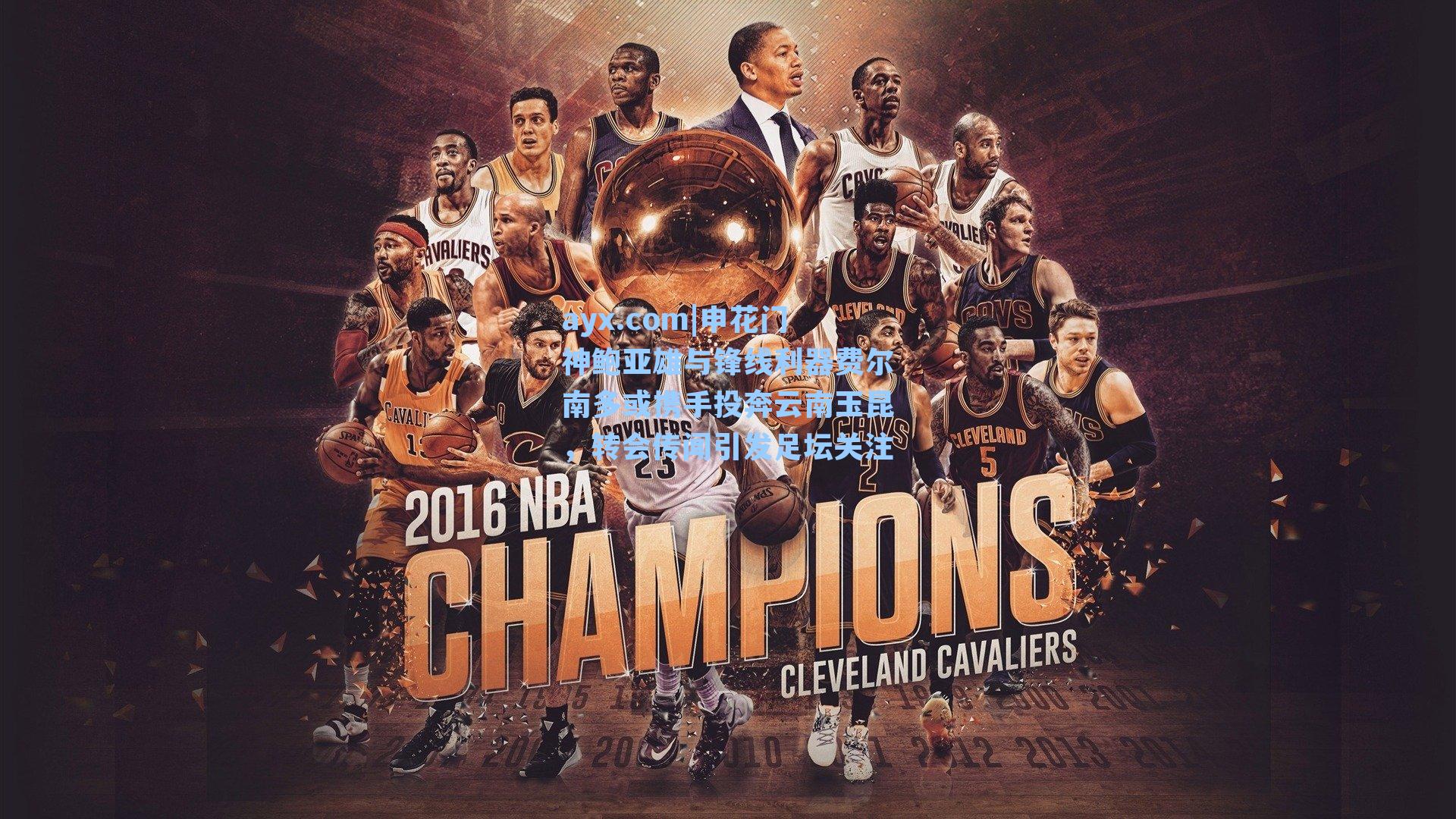 申花门神鲍亚雄与锋线利器费尔南多或携手投奔云南玉昆，转会传闻引发足坛关注